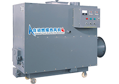 Coal-fired warmer with water heating and hot air
